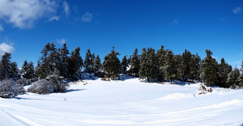 p1088981 panorama-qpr.jpg