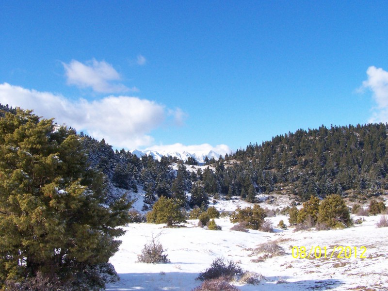 2012-01-08 - ΖΗΡΕΙΑ ΛΙΜΝΗ ΔΑΣΙΟΥ_10.jpg