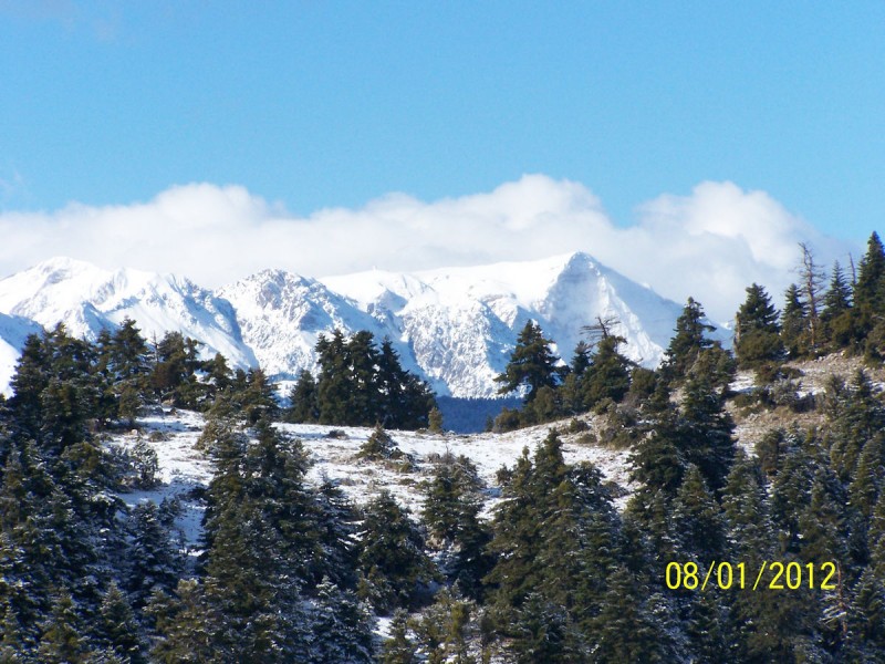 2012-01-08 - ΖΗΡΕΙΑ ΛΙΜΝΗ ΔΑΣΙΟΥ_11.jpg