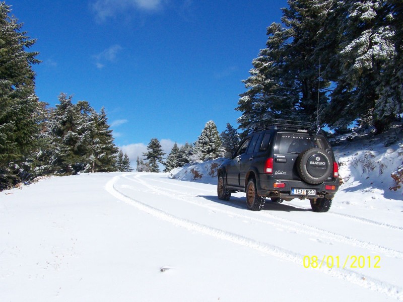 2012-01-08 - ΖΗΡΕΙΑ ΛΙΜΝΗ ΔΑΣΙΟΥ_16.jpg