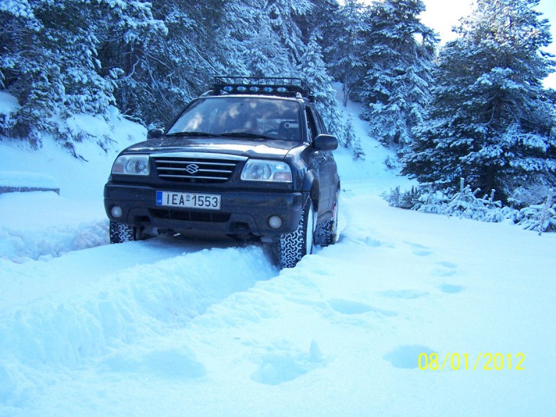 2012-01-08 - ΖΗΡΕΙΑ ΛΙΜΝΗ ΔΑΣΙΟΥ_19.jpg