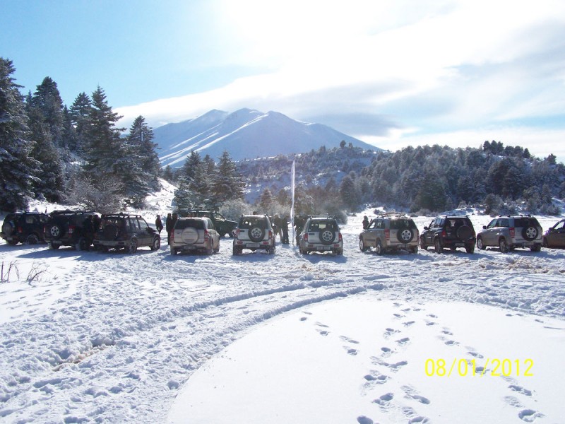 2012-01-08 - ΖΗΡΕΙΑ ΛΙΜΝΗ ΔΑΣΙΟΥ_25.jpg