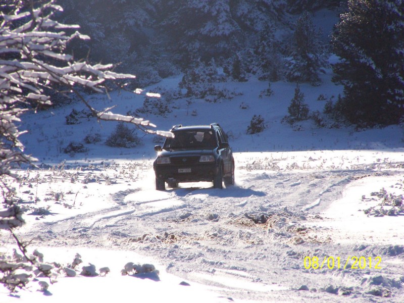 2012-01-08 - ΖΗΡΕΙΑ ΛΙΜΝΗ ΔΑΣΙΟΥ_33.jpg