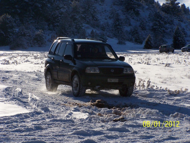 2012-01-08 - ΖΗΡΕΙΑ ΛΙΜΝΗ ΔΑΣΙΟΥ_34.jpg
