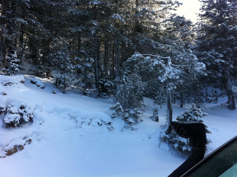 ΖΗΡΕΙΑ 08-01-2012 054 (Custom).jpg