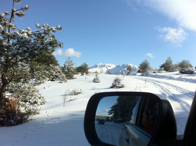 ΖΗΡΕΙΑ 08-01-2012 063 (Custom).jpg