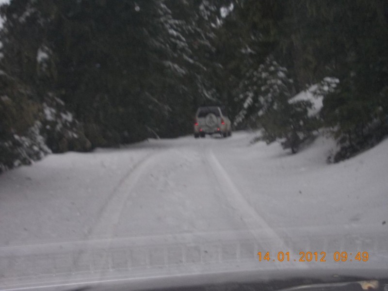 DSCN0234.jpg