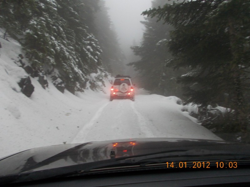 DSCN0241.jpg