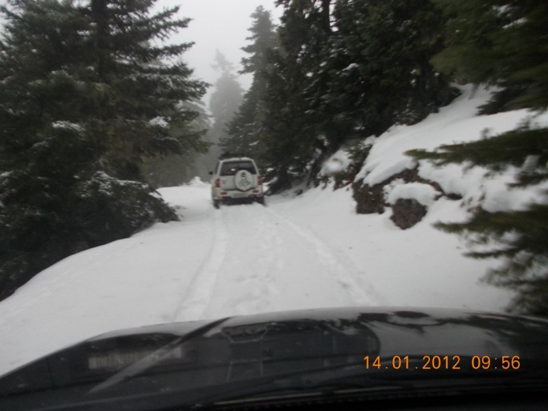 DSCN0238.jpg
