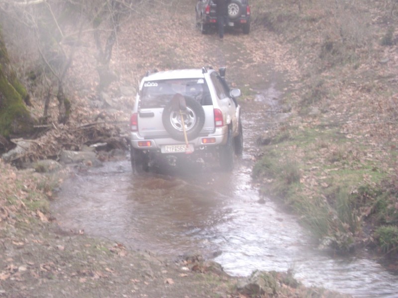 DSC00908.jpg
