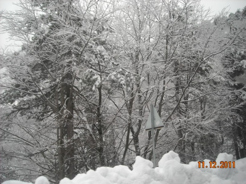 foto 012.jpg