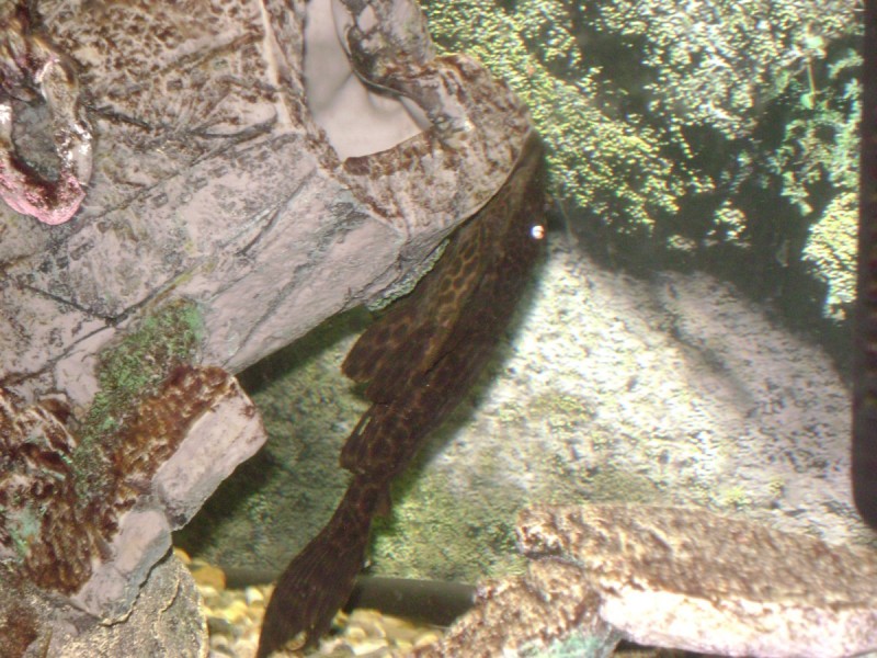 DSC00929.jpg