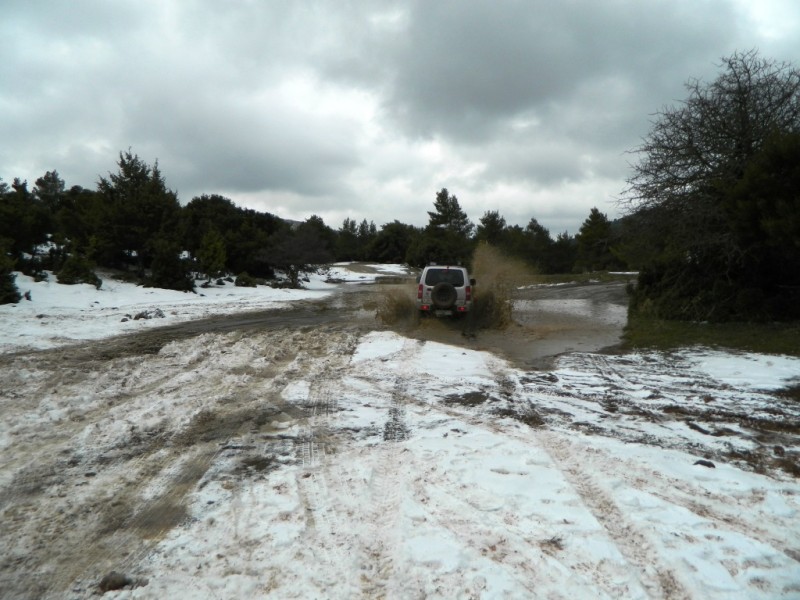DSCN0078.JPG