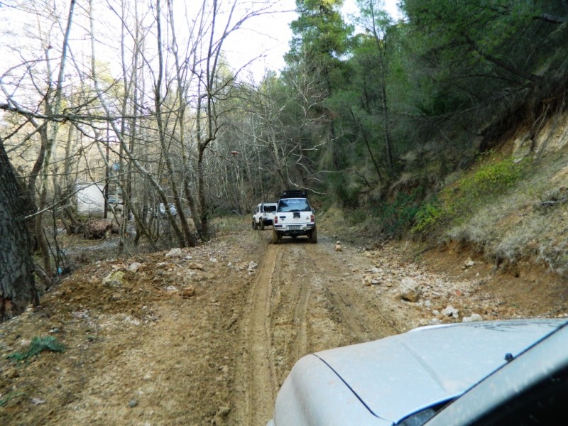 DSCN0181.JPG