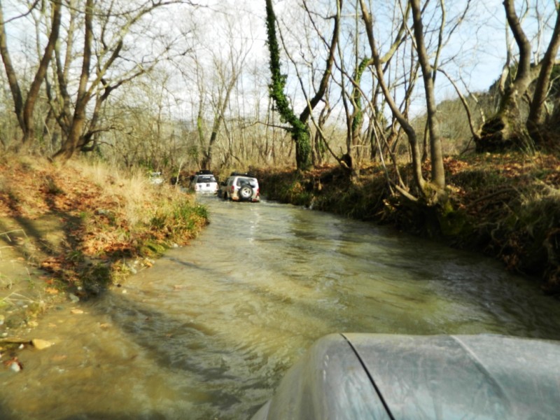 DSCN0315.JPG