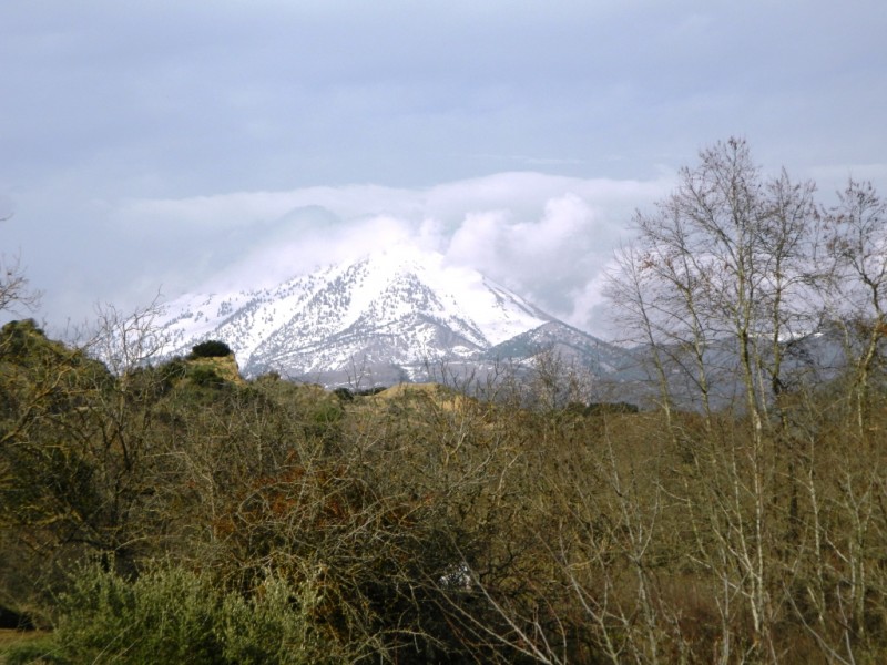 DSCN0347.JPG