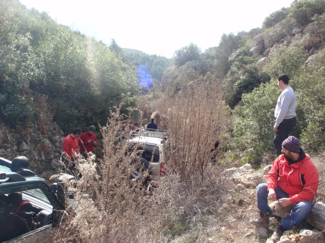 p2050135.jpg