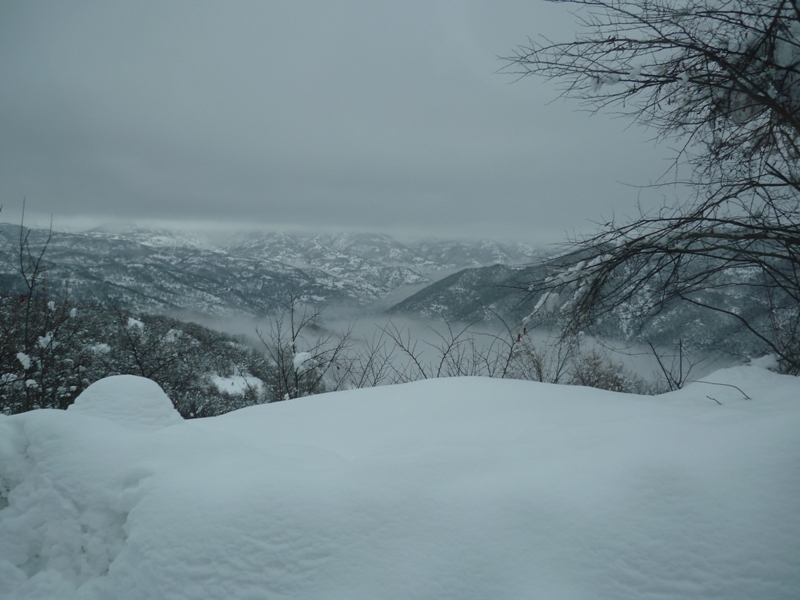 κοπη πίτας  2012 061.jpg