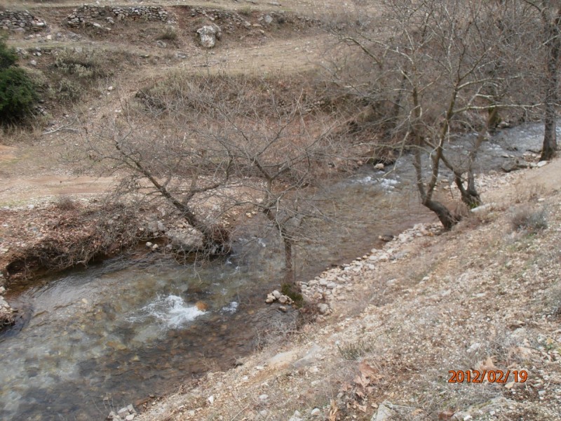 P2190058.jpg