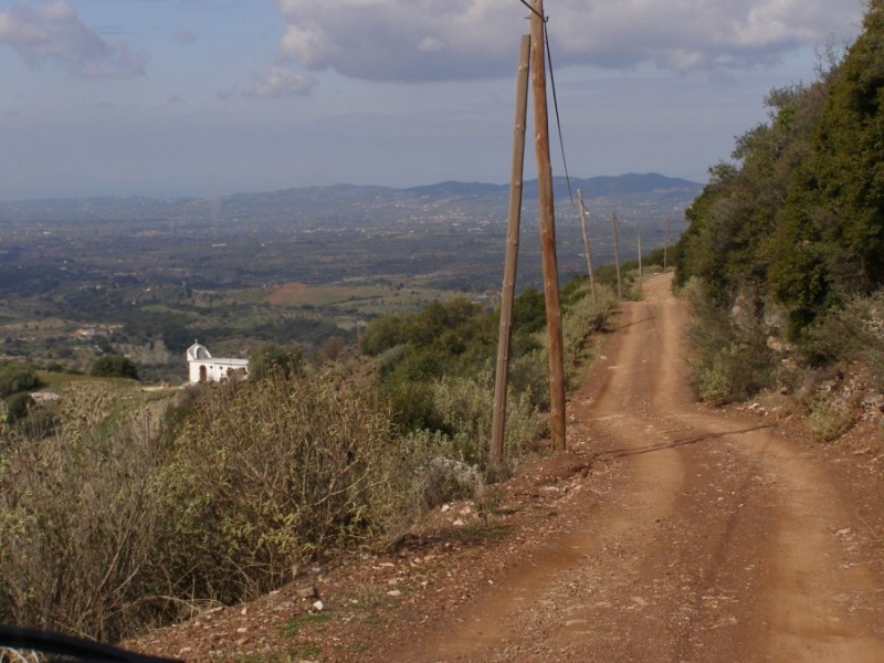 P2191175.jpg