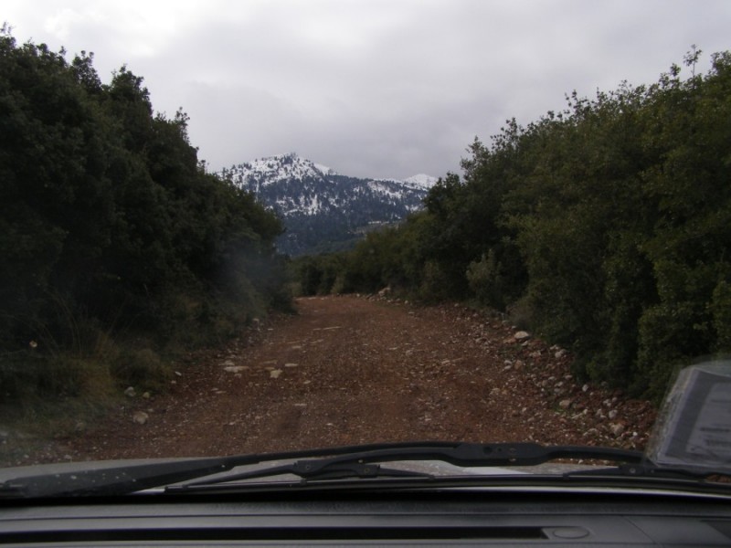 P2191186.jpg