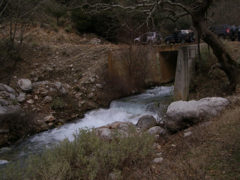 P2191201.jpg