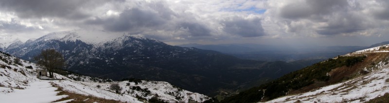 panorama1.jpg