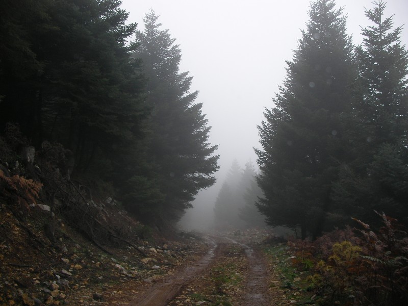 Τhe Fog SANY0016.JPG