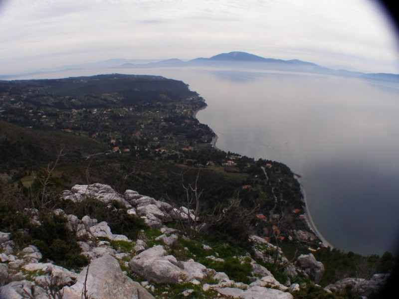P22615880.jpg