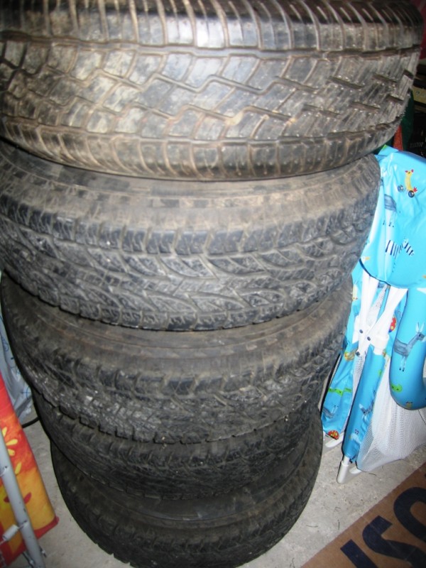 IMG_8254.jpg