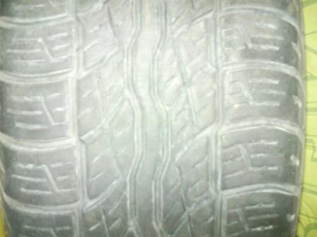 SNC000712a.jpg