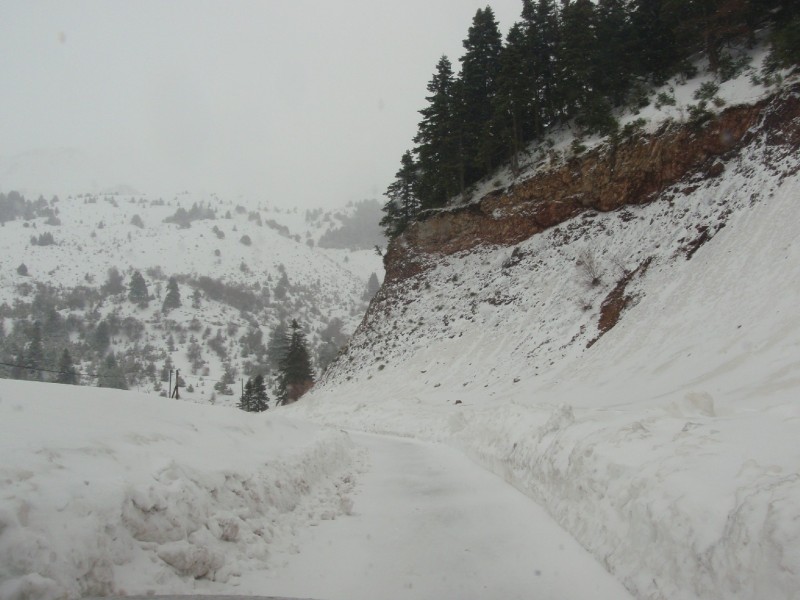 P3110042.JPG
