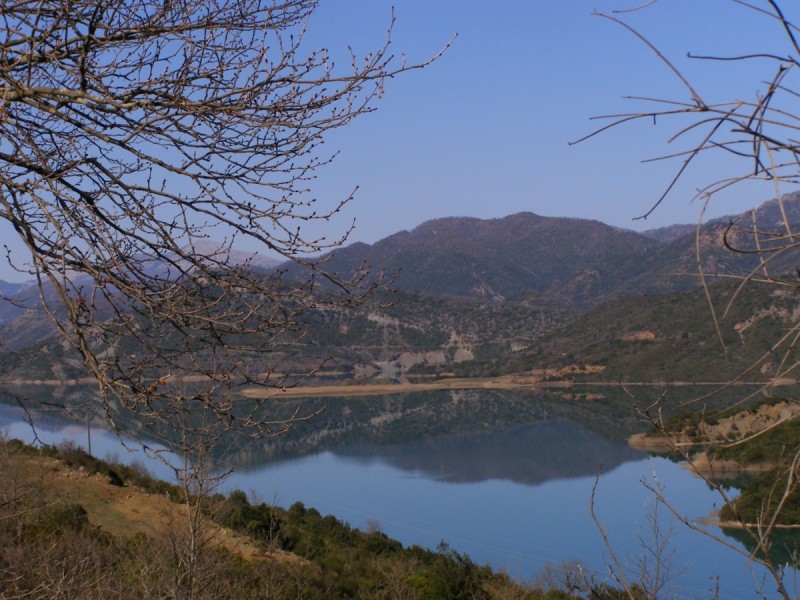 P3161267.jpg