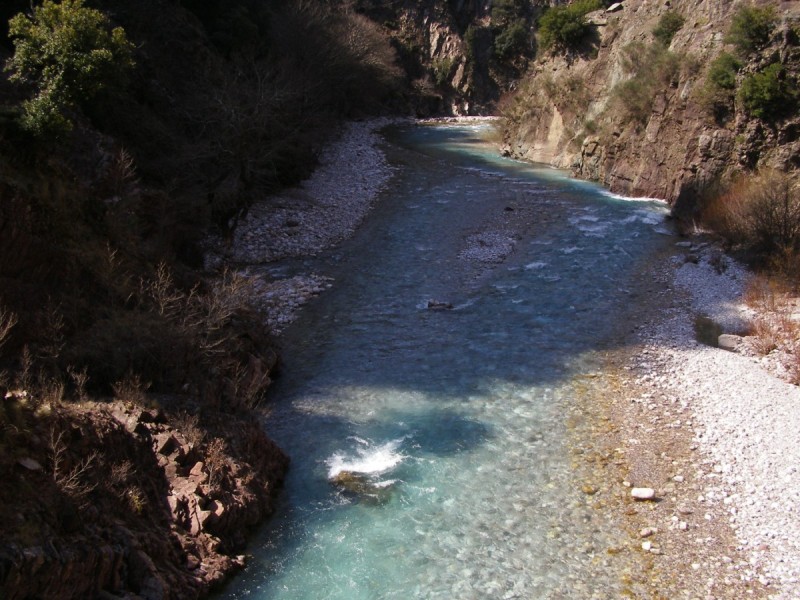 P3171295.jpg