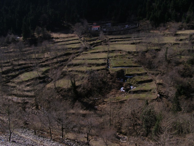 P3171315.jpg
