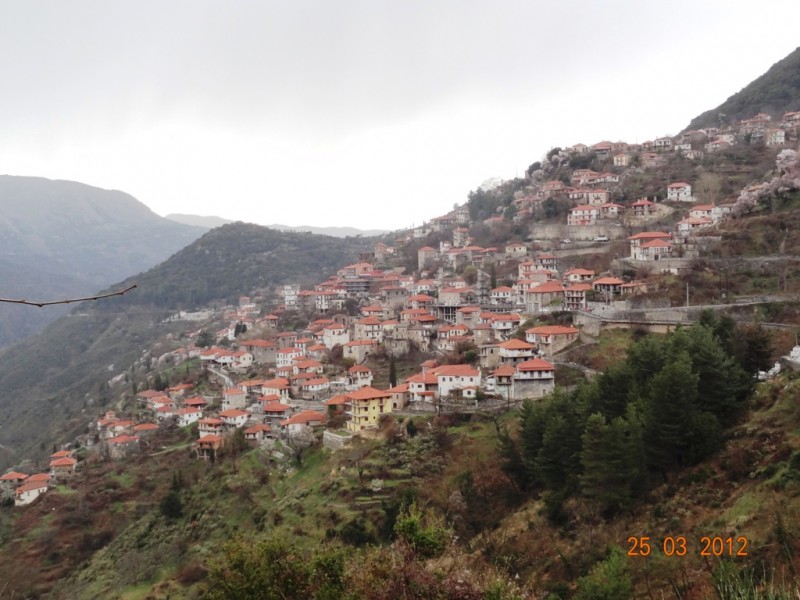 DSC09438.jpg