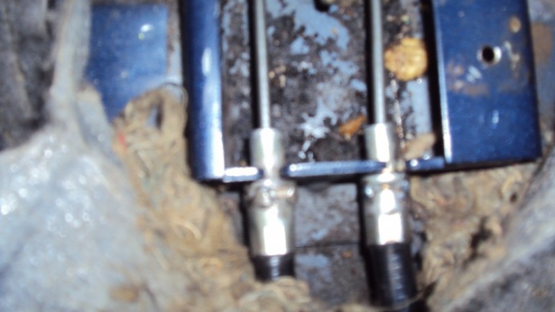 DSC03163.jpg