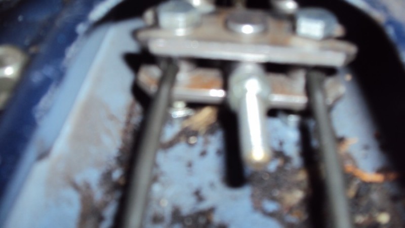 DSC03169.jpg