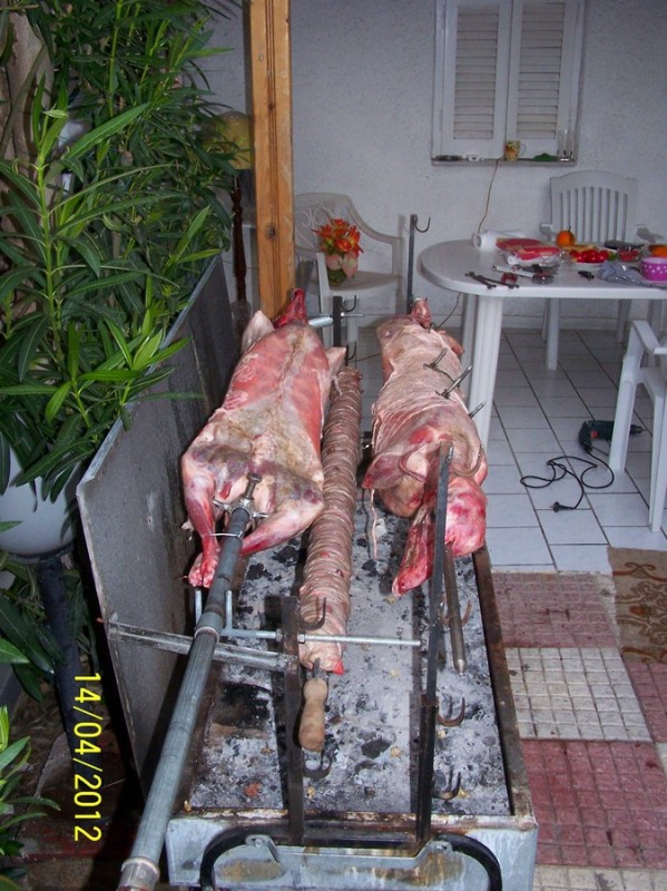 100_0446_tn.jpg