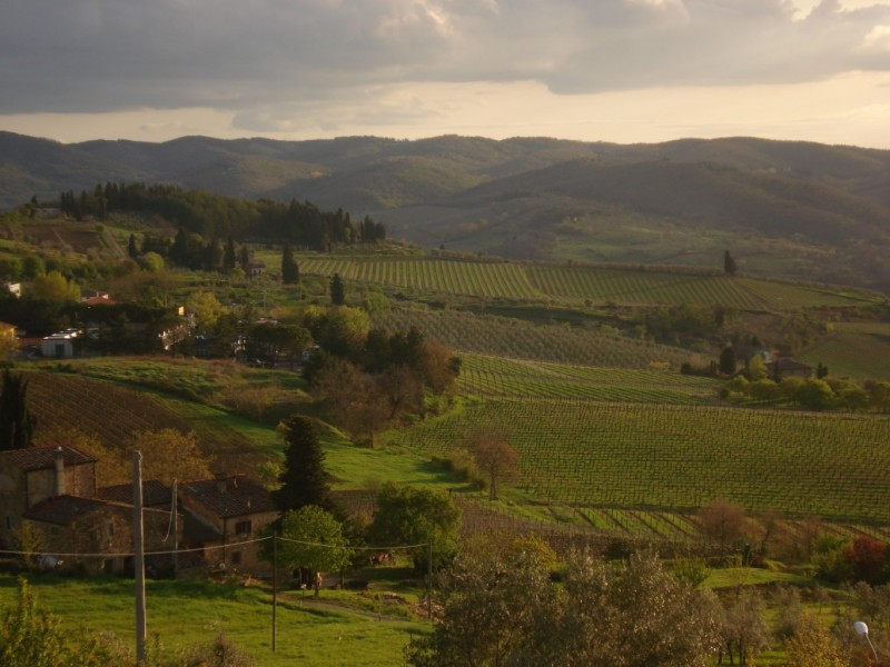 DSC03287.jpg
