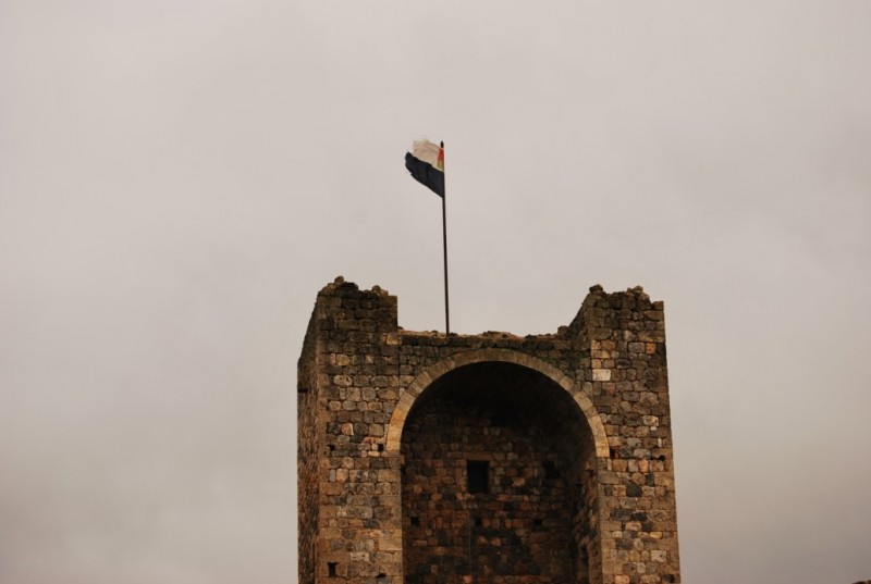 DSC_0221.jpg