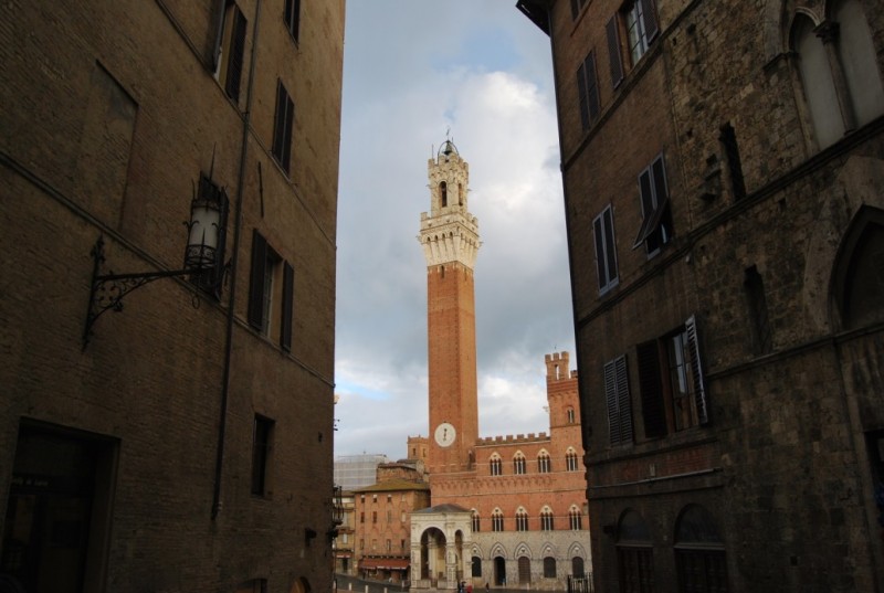 DSC_0338.jpg