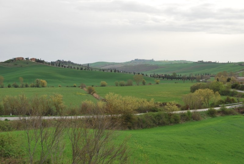 DSC_0455.jpg
