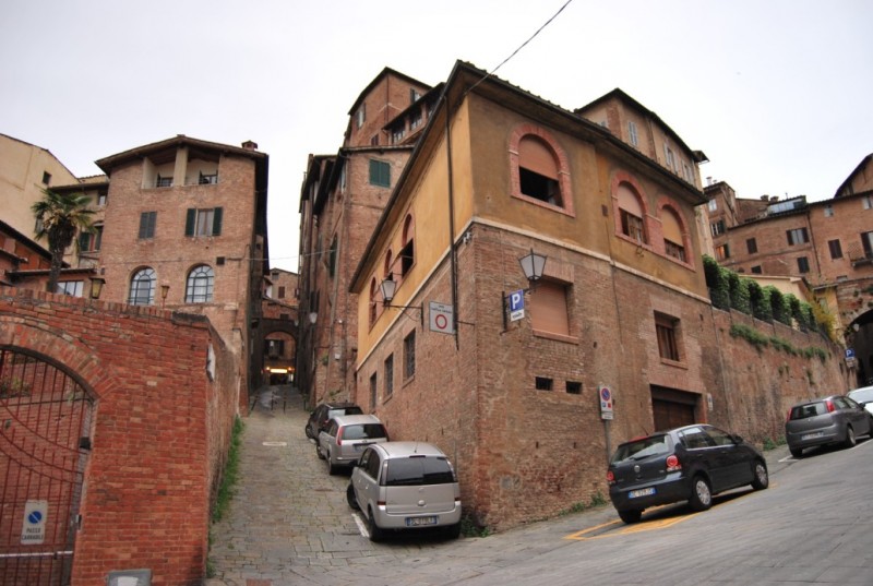 DSC_0545.jpg