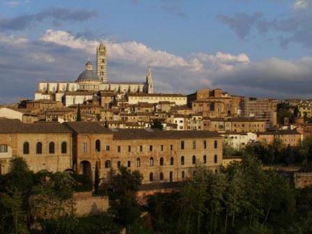Sienna.jpg