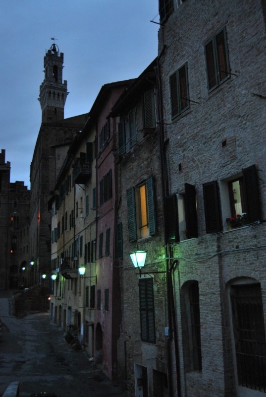 DSC_0571.jpg
