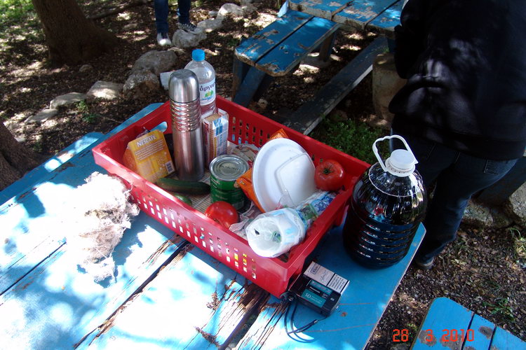 pic20.jpg