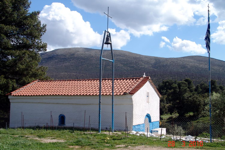 pic23.jpg