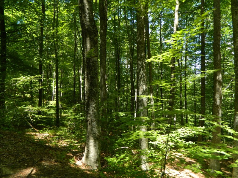 DSCN1728.JPG