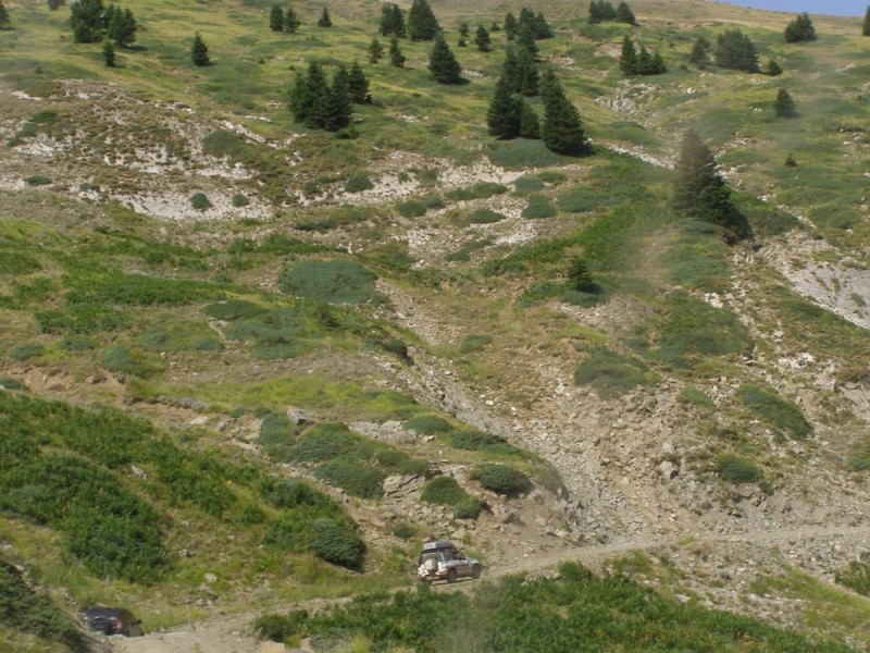 P8072134.jpg